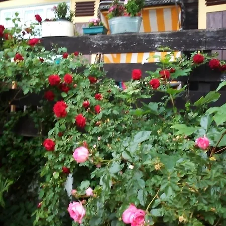 Am Walnussbaum * Diessen am Ammersee